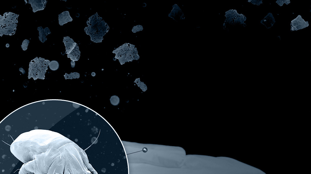 Dust Mites Background Top