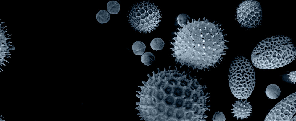 Pollen Background Image Top