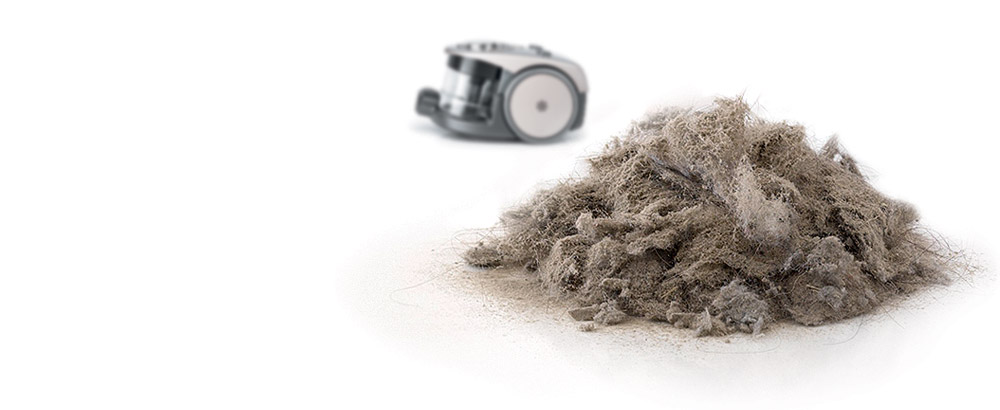 Whats in your dust? - Background image