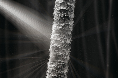 Licht wird durch geschädigtes Haar gestreut