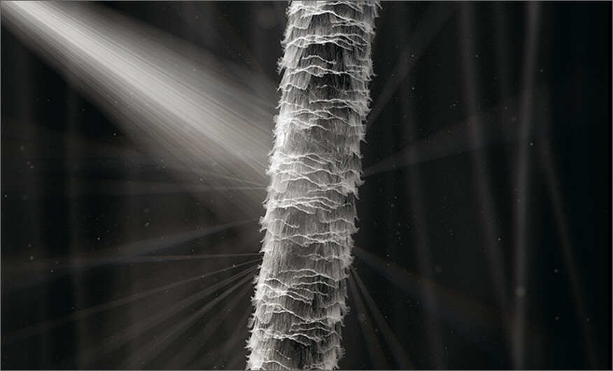 Licht wird durch geschädigtes Haar gestreut