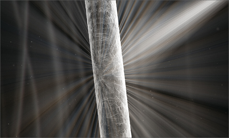 Gesundes Haar reflektiert Licht