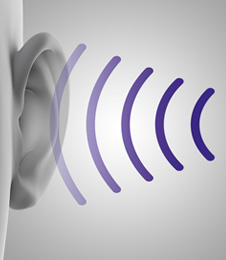 ポストモーターフィルター